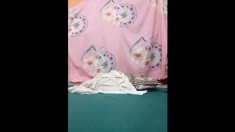 sdlmona @ stripchat on 20251115