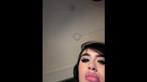 sophicarters @ stripchat on 20251115