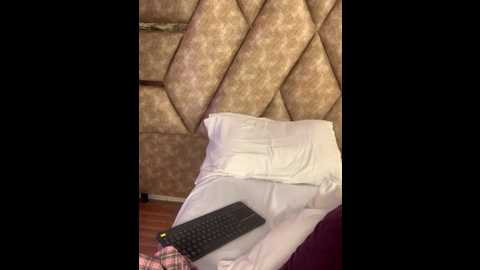 ssexcouplee @ stripchat on 20251115