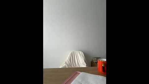 streetdoll @ stripchat on 20251115