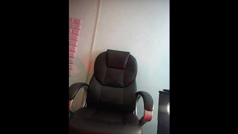 zahra_jalid @ stripchat on 20251115