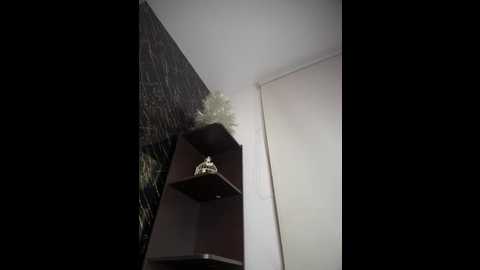 alexandra_duque @ stripchat on 20251116