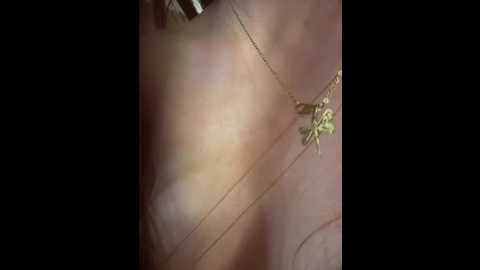 anita_vega @ stripchat on 20251116