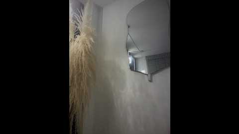 anita_vega @ stripchat on 20251116