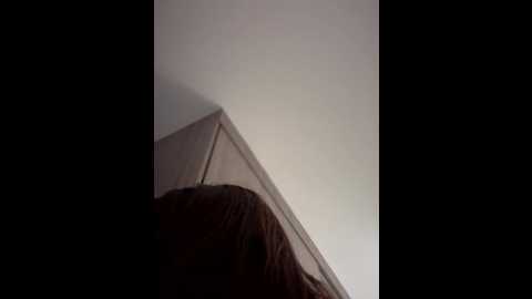 aryrosee @ stripchat on 20251116