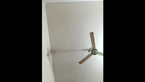 blue_berry07 @ stripchat on 20251116