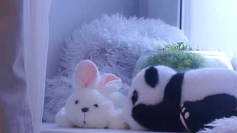 edlinhargus @ stripchat on 20251116