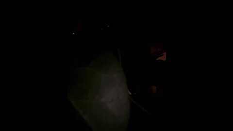 hannah_2007 @ stripchat on 20251116