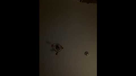 hannah_2007 @ stripchat on 20251116