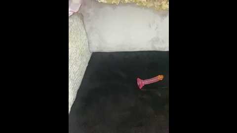 narinmeleyin @ stripchat on 20251116