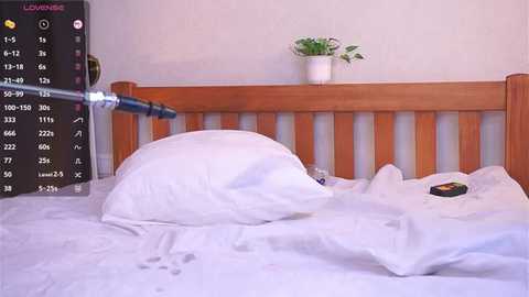 odetteaven @ stripchat on 20251116