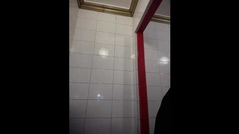 pinkstar_ @ stripchat on 20251116