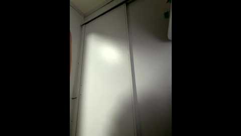 roouse @ stripchat on 20251116