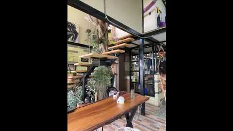 rose_andres @ stripchat on 20251116