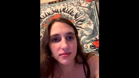 secretknight_mrmask @ stripchat on 20251116