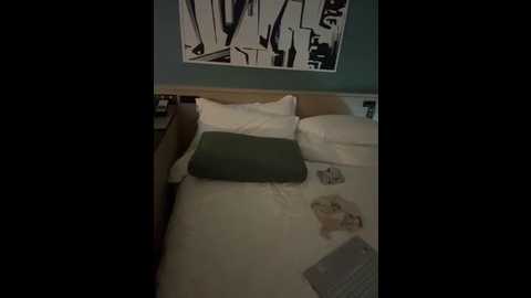 tinybabe @ stripchat on 20251116