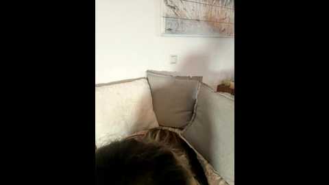 _alisa @ stripchat on 20251117