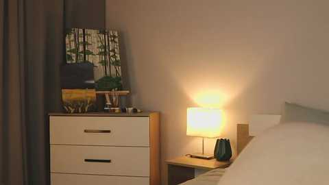 alicelebel @ stripchat on 20251117