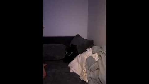 blondesarah2006 @ stripchat on 20251117