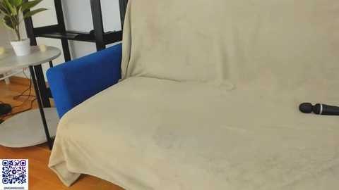 blurrywish @ stripchat on 20251117