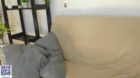 blurrywish @ stripchat on 20251117