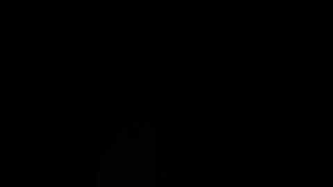 charming_ritta @ stripchat on 20251117