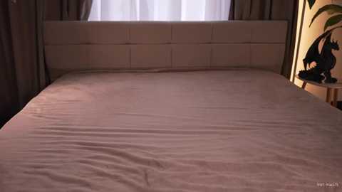 faster_maci @ stripchat on 20251117