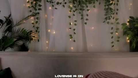 jodybruster @ stripchat on 20251117