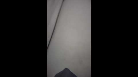 licky_lu @ stripchat on 20251117