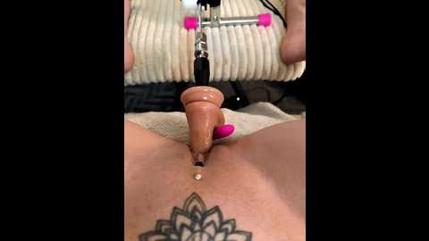 linalicious @ stripchat on 20251117