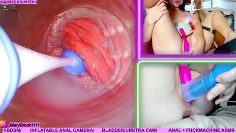 marybrook1 @ stripchat on 20251117