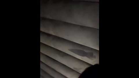 noha_sexy @ stripchat on 20251117