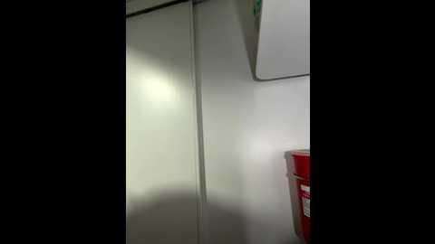 roouse @ stripchat on 20251117