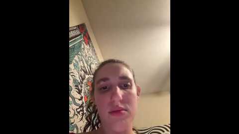 secretknight_mrmask @ stripchat on 20251117