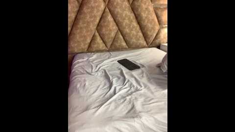 ssexcouplee @ stripchat on 20251117