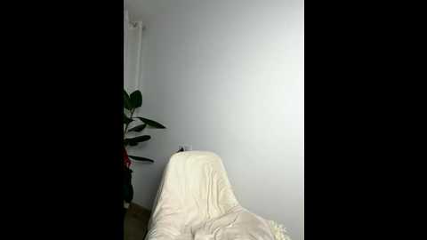 streetdoll @ stripchat on 20251117