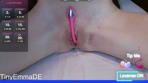 tinyemmade @ stripchat on 20251117