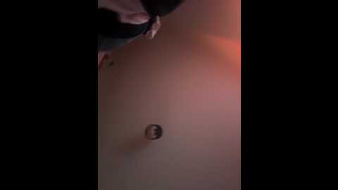 youngleo2006 @ stripchat on 20251117