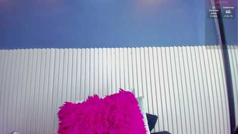 aida_nicolle @ stripchat on 20251118