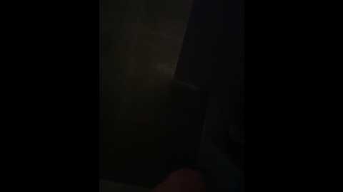 elliepixie @ stripchat on 20251118