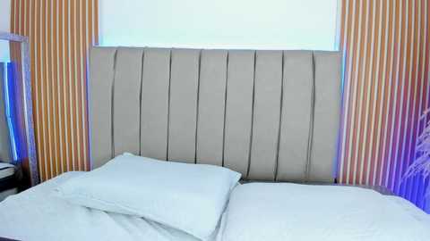 endiira_ @ stripchat on 20251118