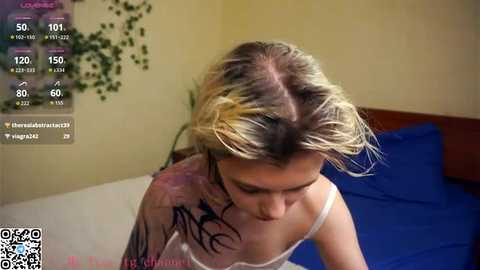 engelalman @ stripchat on 20251118