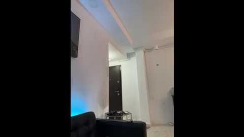 isabellaetthan @ stripchat on 20251118