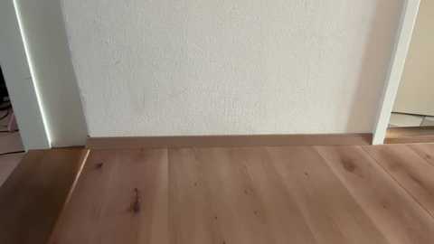 missdaisydiamond777 @ stripchat on 20251118