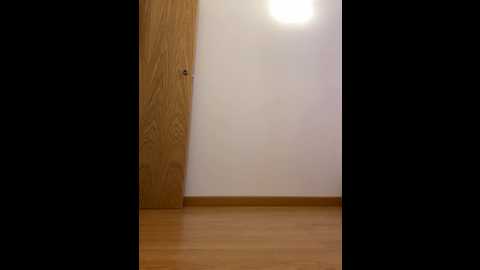 norabbyxox @ stripchat on 20251118