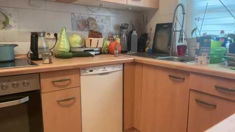 s_te_fan_i @ stripchat on 20251118