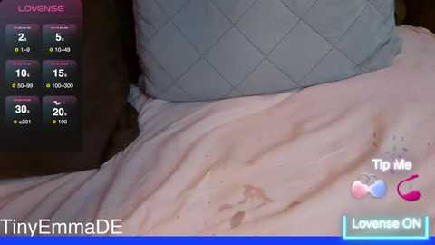 tinyemmade @ stripchat on 20251118