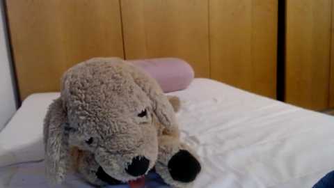 bellefleurrr @ stripchat on 20251119