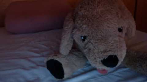 bellefleurrr @ stripchat on 20251119