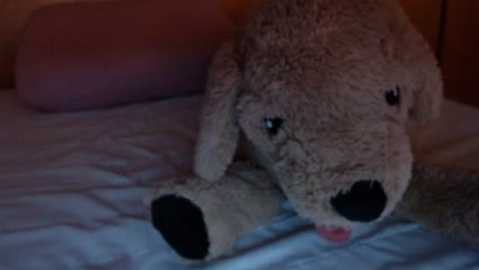 bellefleurrr @ stripchat on 20251119